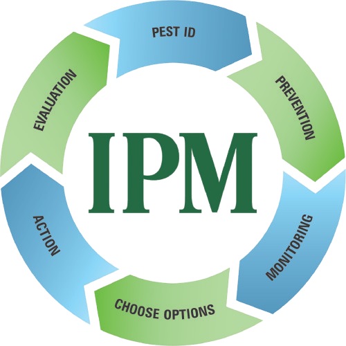 ipm removebg preview